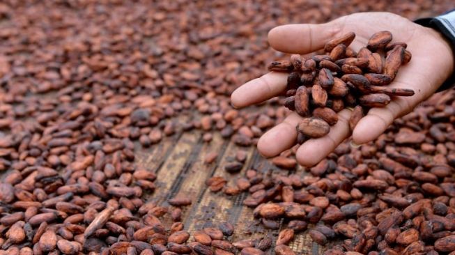 Uni Eropa Selidiki Wabah Salmonella Terkait Telur Cokelat Kinder