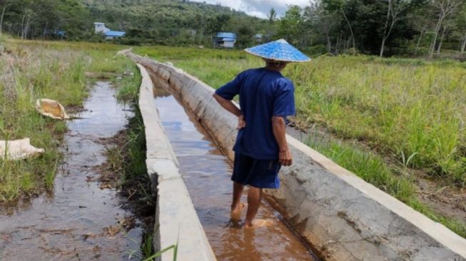 Program RJIT Kementan Berhasil Tingkatkan Produktivitas Pertanian di Melawi Kalimantan Barat