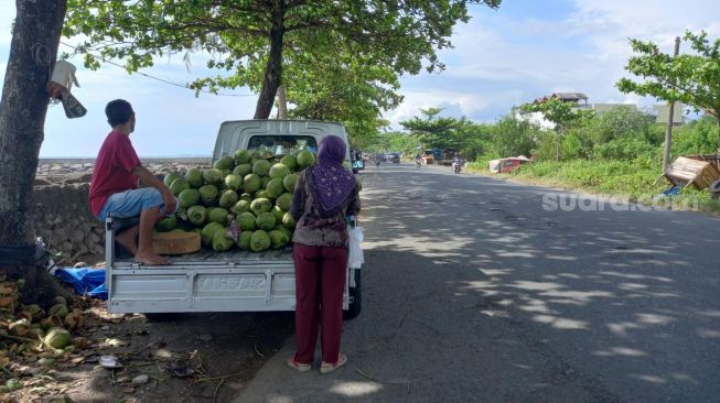 Curhat Pedagang Kelapa Muda di Pantai Padang, Penjualan Merosot Saat Ramadhan Pasca Digusur Satpol PP