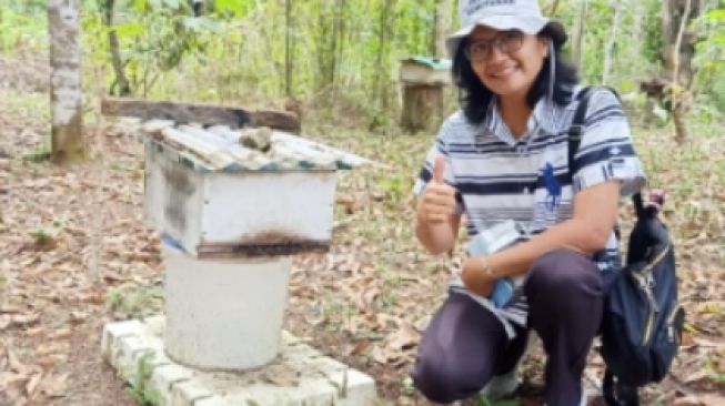 Madu Hutan, Potensi Ekonomi Bagi Masyarakat Sekitar Hutan