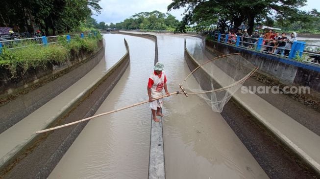 Lagi, Ribuan Ikan "Klenger" di Sungai Serayu: Berkah Warga, Bencana Bagi Biota Air Tawar