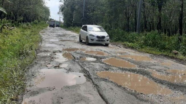 DPRD Desak Dinas PUPR Lampung Selatan Perbaiki Jalan Kertosari yang Rusak Parah