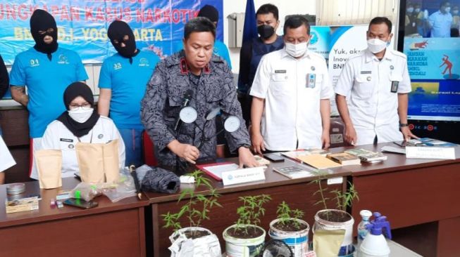 Semai Bibit Ganja Sejak Agustus 2021, Tiga Warga asal Jogja Diamankan BNNP