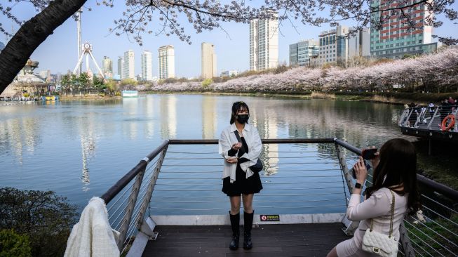 Seorang wanita berswafoto di bawah pohon sakura yang bermekaran di Seoul, Korea Selatan, Rabu (6/4/2022). [ANTHONY WALLACE / AFP]