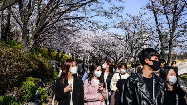 Orang-orang berjalan di bawah pohon sakura yang bermekaran di Seoul, Korea Selatan, Rabu (6/4/2022). [ANTHONY WALLACE / AFP]