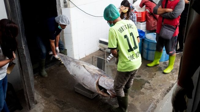 LPEI Gandeng Sarinah Ekspor Perdana Ikan Tuna ke Vietnam