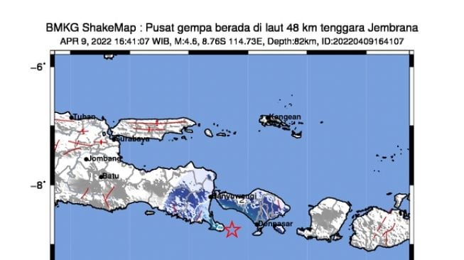 Terkini, Gempa M 4,6 Jembrana Bali, Guncangan Dirasakan di Denpasar dan Sekitarnya