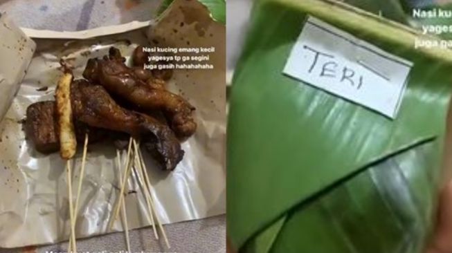 Viral Wanita Syok Saat Lihat Porsi Nasi Kucing yang Dibelinya: 'Ini Nasi Tikus'