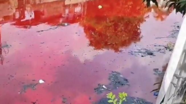 Heboh! Air Sungai di Kota Semarang Berubah Warna Merah Seperti Darah