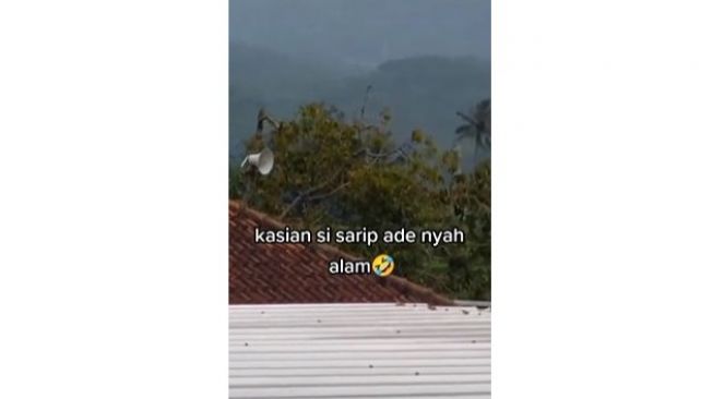 Tak Terima Anaknya Ditendang, Aksi Ibu Cari Pelaku Lewat Toa Masjid Viral