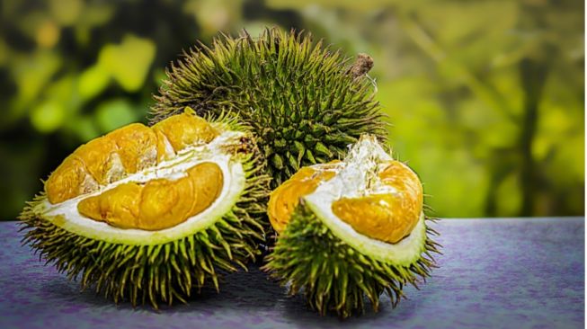 Kandungan dan Manfaat Buah Durian yang Harus Kamu Ketahui!