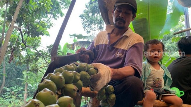 Selama Ramadhan Tahun Ini, Petani Kolang Kaling di Bandung Barat Panen Cuan