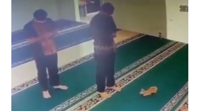 Viral Aksi Kucing Ganggu Pria Salat di Masjid Bikin Buyar: Warganet: Melebihi Setan