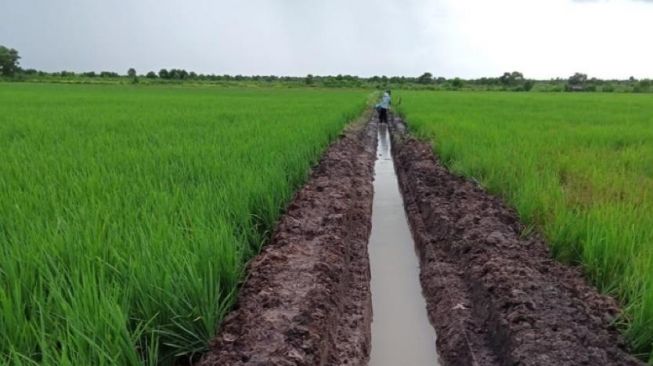 Hadapi El Nino, Petani Purwakarta Merasa Terbantu Program Kementan