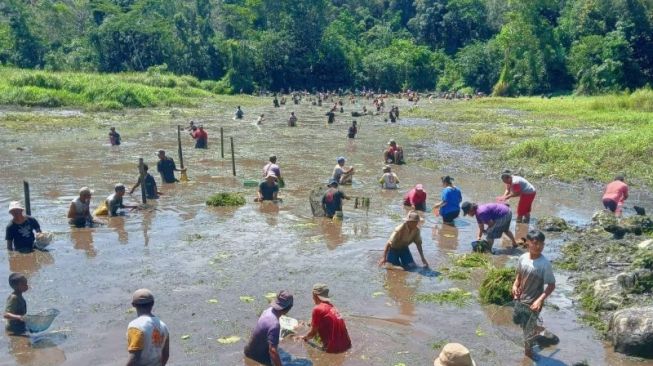 Tradisi Panen Ikan saat Paskah, Gotong Royong dan Semangat Kebersamaan