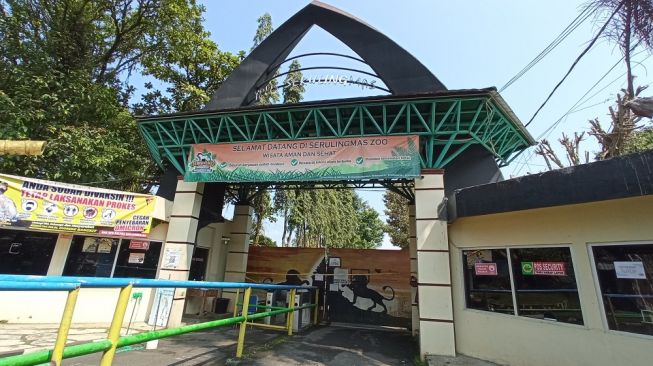 Sudah Dua Kali Memakan Korban Jiwa, Keluarga Minta Serulingmas Banjarnegara Zoo Dibenahi