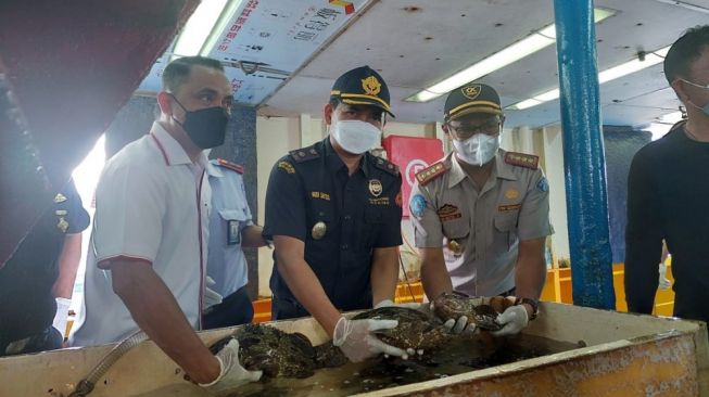 Komoditas Perikanan dari Ambon Siap Banjiri Pasar Mancanegara