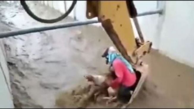 Video Viral Aksi Heroik Pria Tangkap Anjing Naik Excavator Panen Pujian Warganet