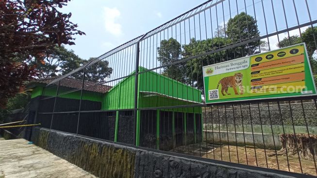 Dua Kali Memakan Korban, Serulingmas Zoo Diusulkan Tiadakan Hewan Buas