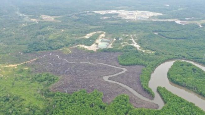 Dugaan Perusakan Mangrove di Kariangau, Rahmad Mas'ud Akui Sudah Terima Laporan