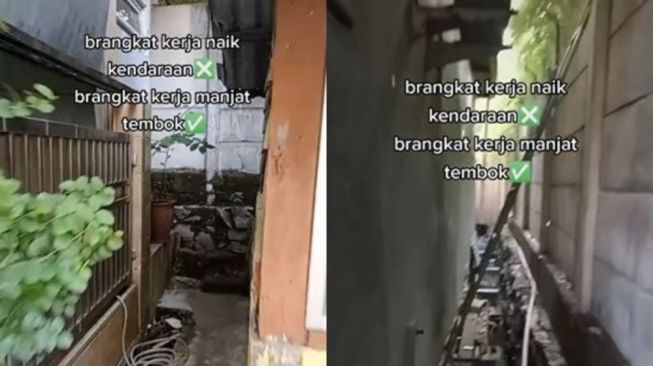 Bukan Naik Kendaraan, Cowok Ini Memilih Berangkat Kerja dengan Panjat Tembok Tinggi