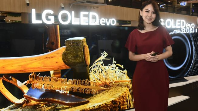 LG OLED evo. [LG Indonesia] 