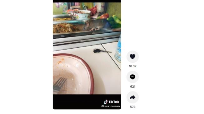 Viral Ibu Hamil Makan Bareng 'Omen' di Warteg, Netizen Sebut Tikus Jadi Kepala Koki