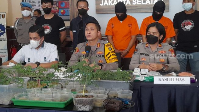 Kisah Kebun Ganja sampai di Apartemen Bekasi