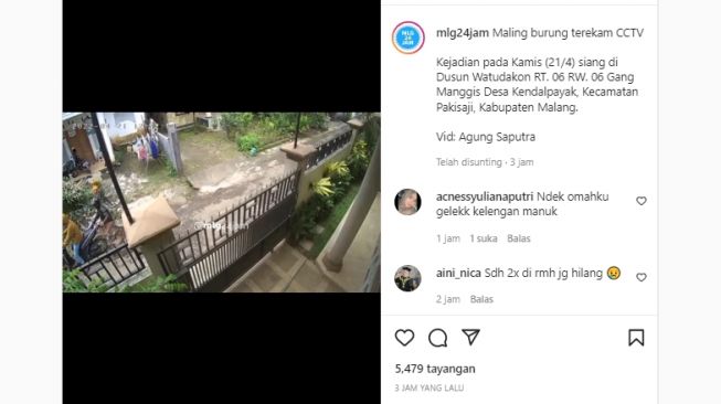 Aksi Pencurian Burung di Malang Terekam CCTV, Warganet: Nekat Banget Puasa-puasa