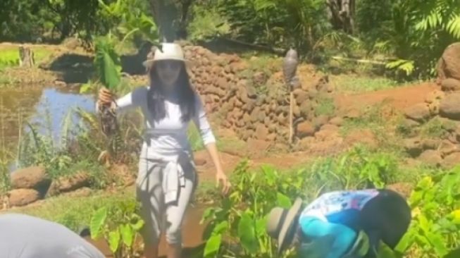 Momen Raline Shah Panen Talas di Hawaii (Instagram/ralineshah)