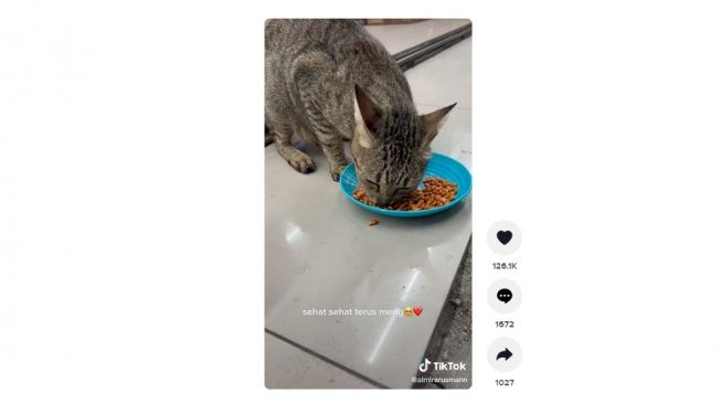 Kucing di minimarket minta dibeliin makanan. [TikTok]