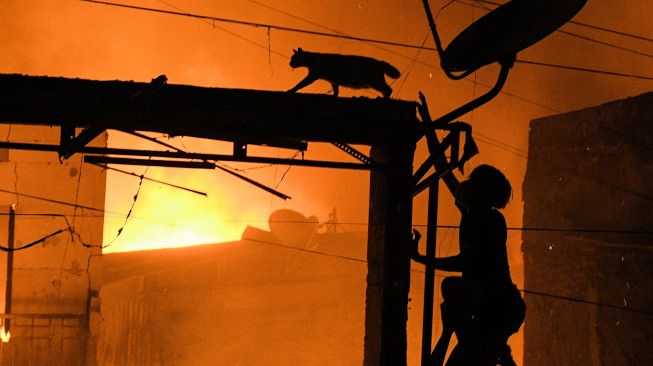 Sejumlah warga berusaha menolong seekor kucing yang terjebak kebakaran kios dan rumah di Pasar Gembrong, Jatinegara, Jakarta Timur, Minggu (24/4/2022). [ANTARA FOTO/ Fakhri Hermansyah/pras]