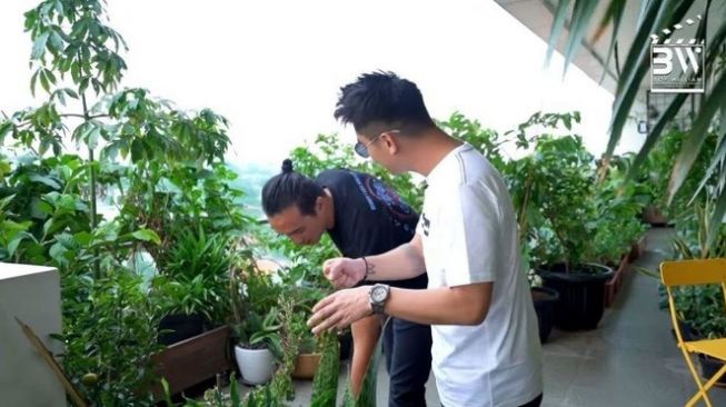 Potret Kebun Sayur (YouTube/Boy William)