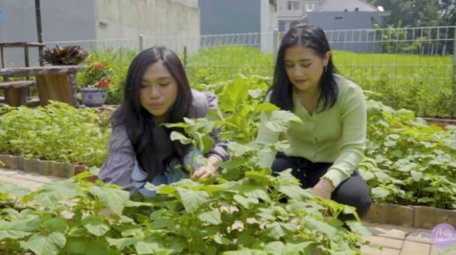 Potret Kebun Sayur (YouTube/Prilly Latuconsina)