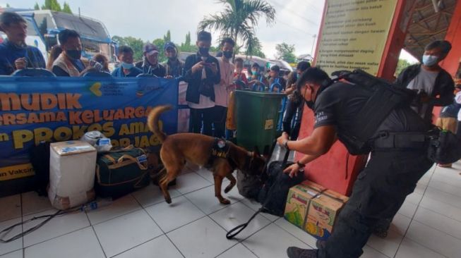 Cegah Penyelundupan Narkoba, BNN Terjunkan Tim K9 Cek Barang Pemudik di Terminal Kampung Rambutan