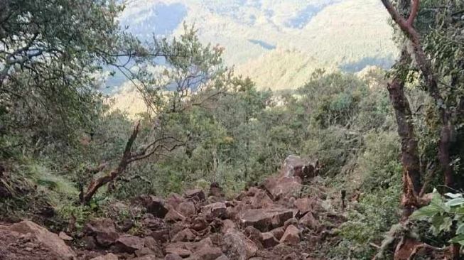 Jalur Pendakian Cemoro Sewu Magetan Ditutup Sementara Gegara Longsor