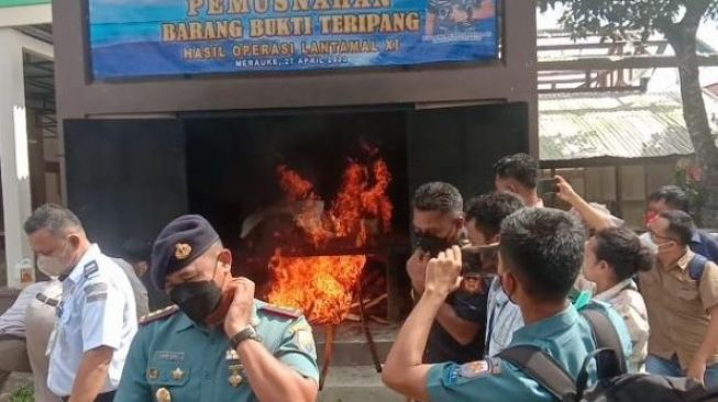 Karantina Hewan Musnahkan Ratusan Kilogram Teripang Asal Papua Nugini