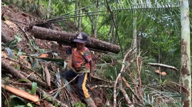 Nyesek! Bocah Ini Putus Sekolah Jadi Kuli Panggul Kayu agar Bisa Beli Beras