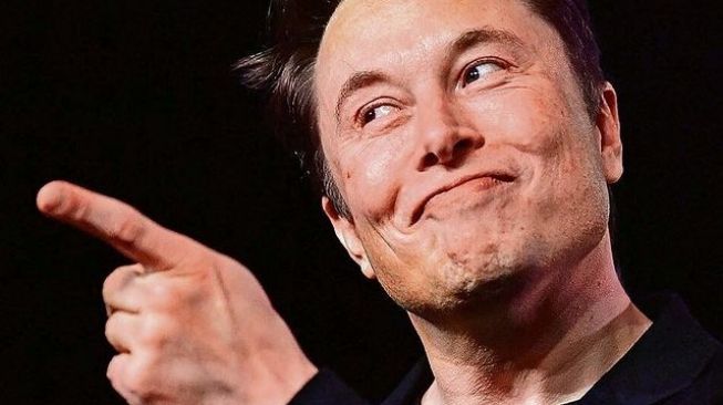 Fakta Elon Musk (Instagram/elonofficiall)