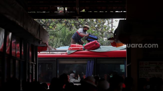 Kondektur merapikan barang bawaan penumpang di atas bus yang berhenti di Terminal Kampung Rambutan, Jakarta, Sabtu (30/4/2022). [Suara.com/Angga Budhiyanto]