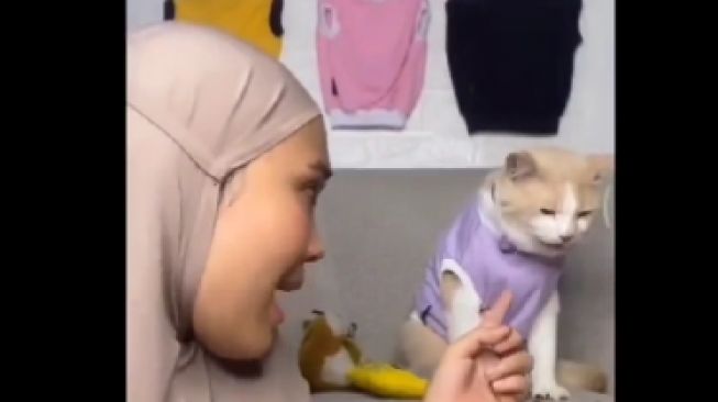 Kucingnya Muntahkan Makanan, Respon Wanita Ini Bikin Syok Warganet