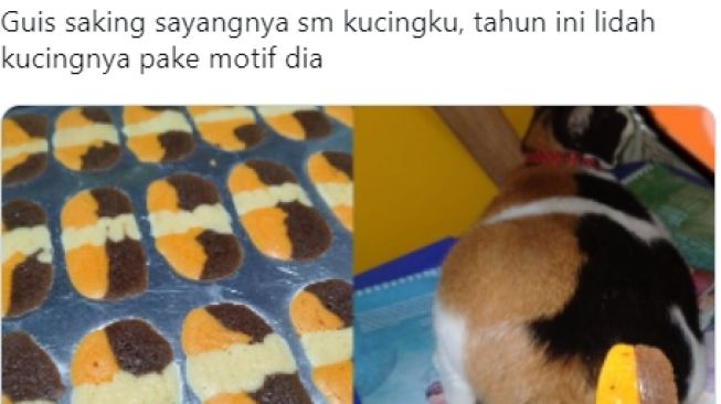 Saking Cintanya pada Peliharaan, Seorang Warganet Sampai Bikin Kreasi Kue Lebaran Motif Kucing Miliknya