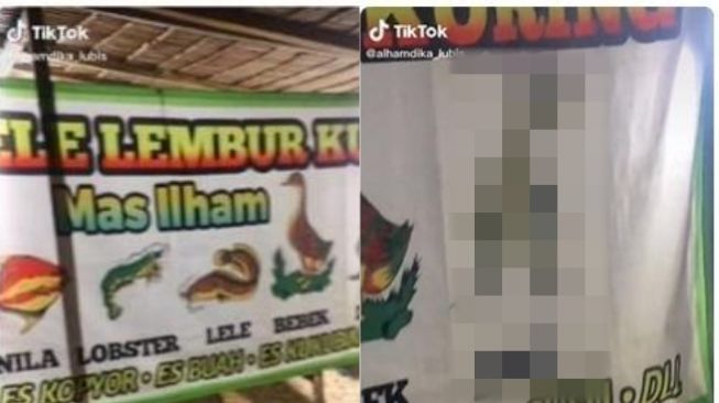 Ada Menu Tak Biasa, Publik Ngelus Dada Lihat Tulisan di Spanduk Warung Pecel Lele Ini