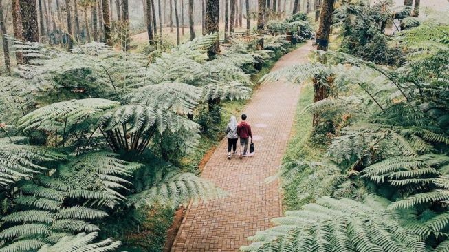 Spesial Lebaran, Orchid Forest Cikole Punya Wahana Baru untuk Para Pecinta Hewan