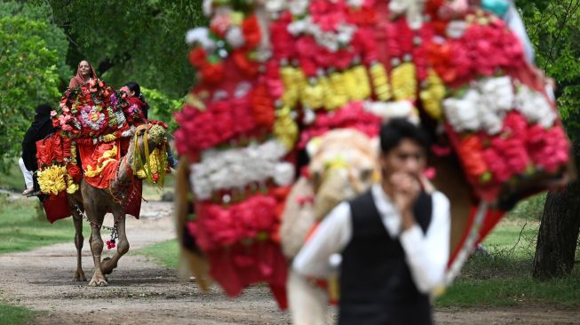 Warga Muslim menaiki unta yang dihias selama hari raya Idul Fitri di Islamabad, Pakistan, Selasa (3/5/2022). [Aamir QURESHI / AFP]