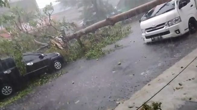 Dua Mobil Tertimpa Pohon saat Hujan Deras di Medan