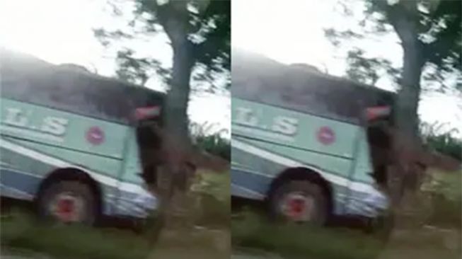 Bus Tabrak Pohon Gegara Hindari Mobil yang Berhenti Mendadak