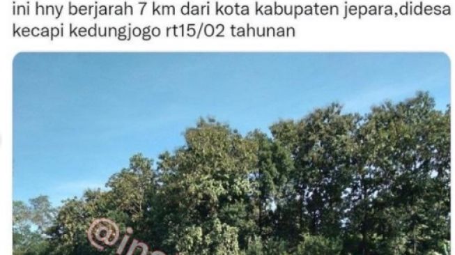 Viral Crazy Rich Jepara Bangun Jembatan Habiskan Duit Pribadi Rp3,7 Miliar, Sampai Sentil Ganjar Pranowo