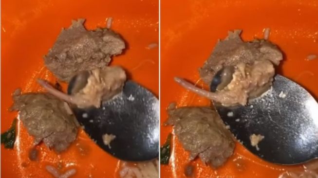 Daging bakso diduga dari tikus (Instagram/gosipnyinyir2)