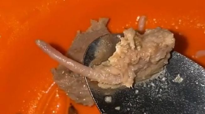 Geger Video Viral Bakso Diduga Terbuat dari Tikus, Pas Dimakan Kelihatan Ada Buntutnya